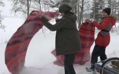 Etsimme joukkoomme ammatillista erityisopettajaa puhtaus- ja kiinteistöpalvelun perustutkintoon 1.8.2021 alkaen