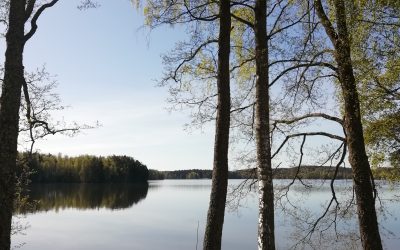 Aitoon toimipisteessä on avoinna yksi VALMA-opiskelupaikka