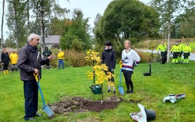 Kestävän kehityksen viikko huipentui metsätammen istutukseen