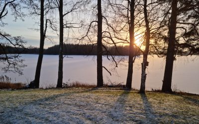 Länsi-Suomen AVI tehnee huomenna 7.1 päätöksen koulujen 10.1 opiskelusta