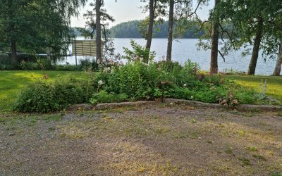 Avaamme jatkuvaan hakuun opiskelupaikkoja 11.8 Opintopolkuun