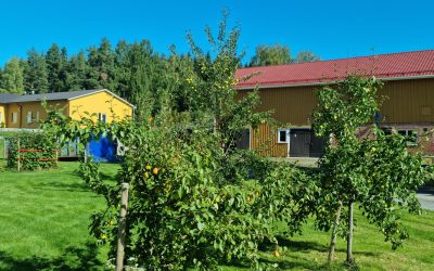 Erinomainen hedelmäsatovuosi