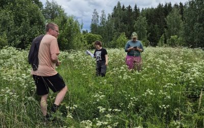 Opetus- ja kulttuuriministeriö julkaisi 14.9 Vaativan erityisen tuen selvityksen