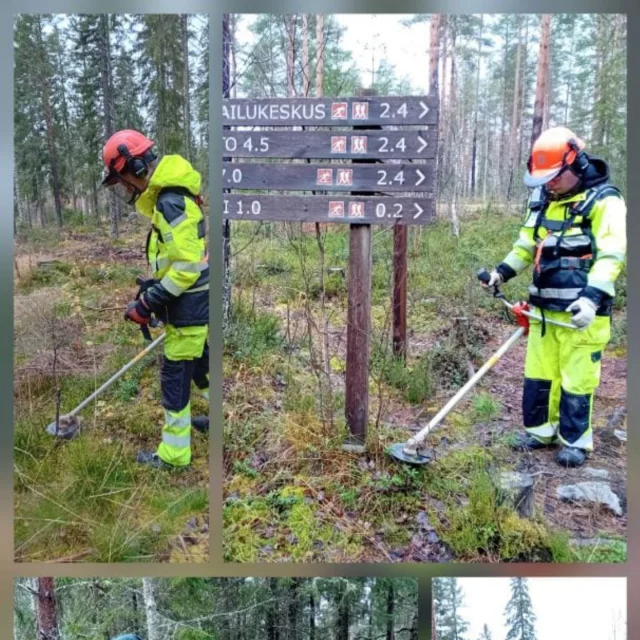 Työkeikalla Sappeen hiihtokeskuksessa: ohjelmassa frisbeegolfradan syyskunnostus. #aitoonkoulutuskeskus #aitoomeininkiä